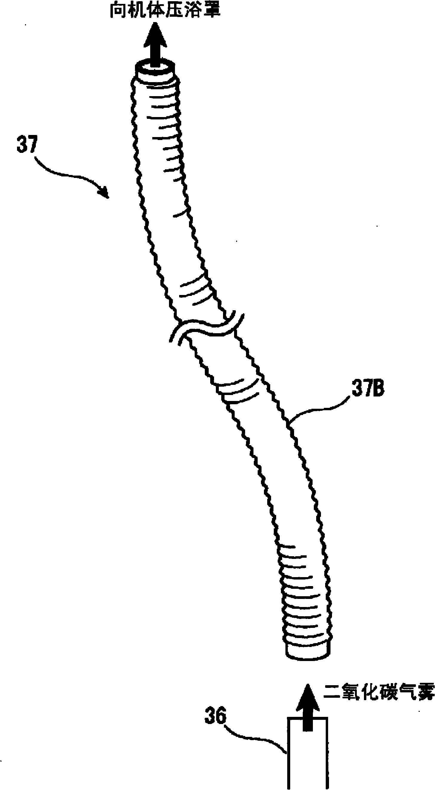 Carbon dioxide mist bathing system