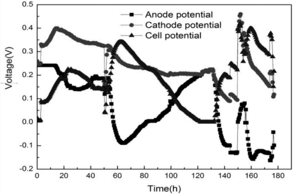 Preparation method for novel composite positive electrode based on sludge nitrogen-doped charcoal and porous volcanic, and microbial fuel cell