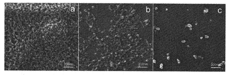 Novel method for preparation of chitosan nano carrier and functionalization thereof