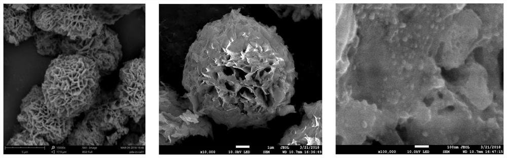 A kind of antibacterial hybrid nano flower hemostatic material and preparation method thereof