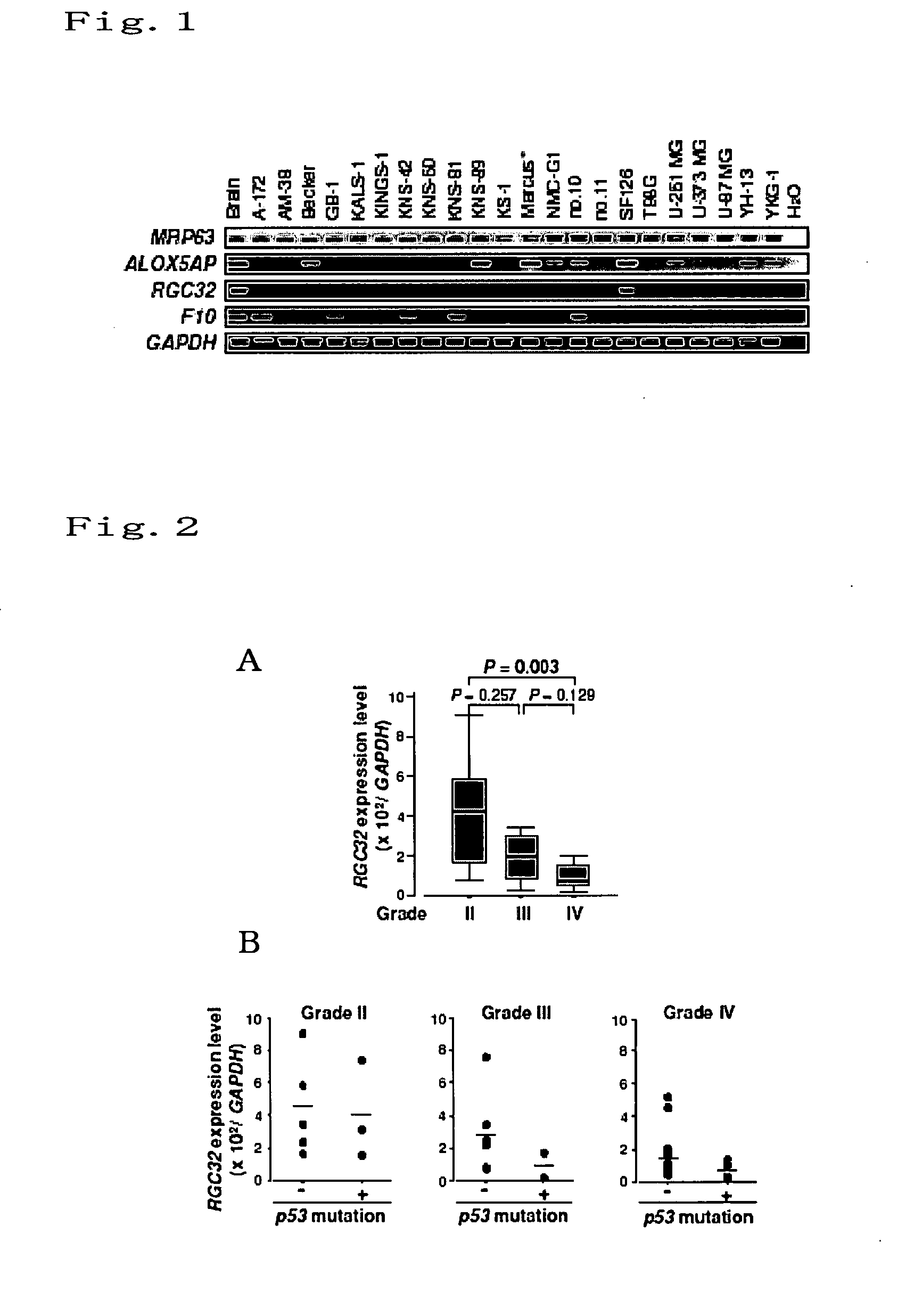 Cancer suppressing agent