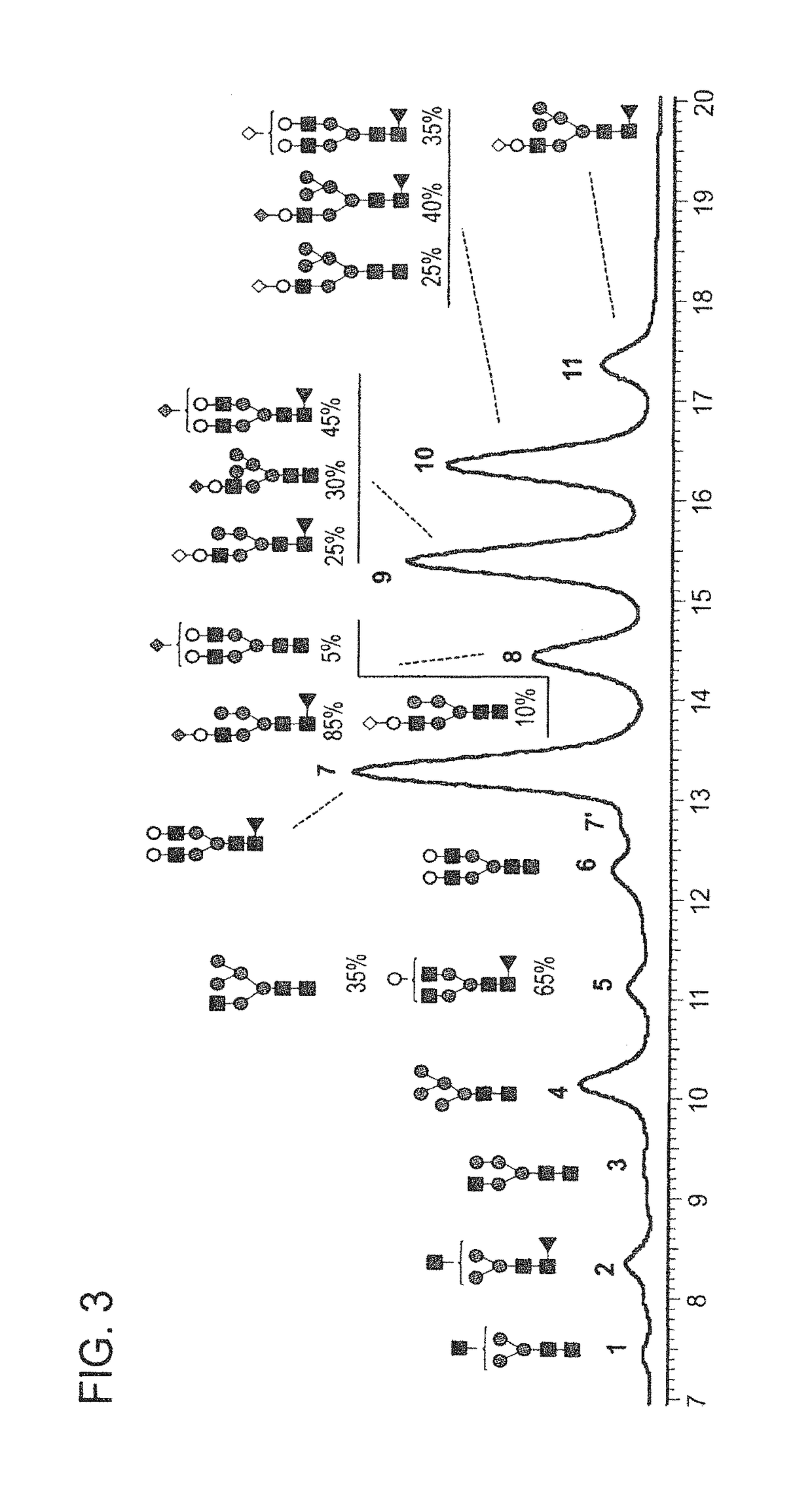 Highly galactosylated anti-TNF-α antibodies and uses thereof