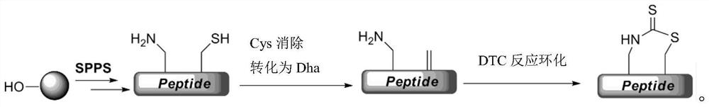 A kind of thioester staple peptide and its preparation method and application