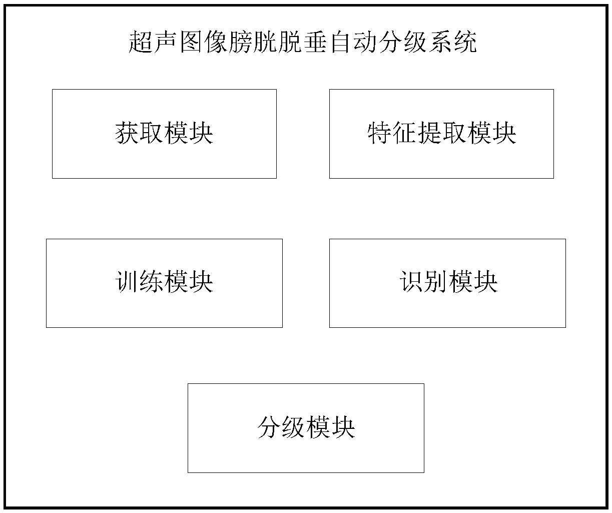 Ultrasound image bladder prolapse automatic grading system