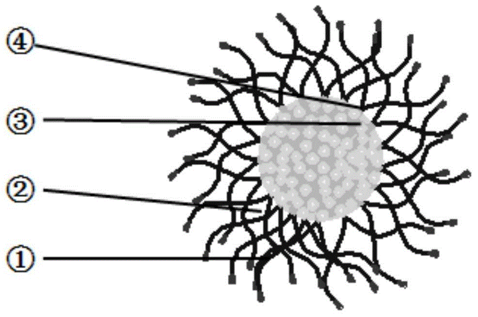 Preparation method of tumor cell micro-environmentally responsive nano-micelle