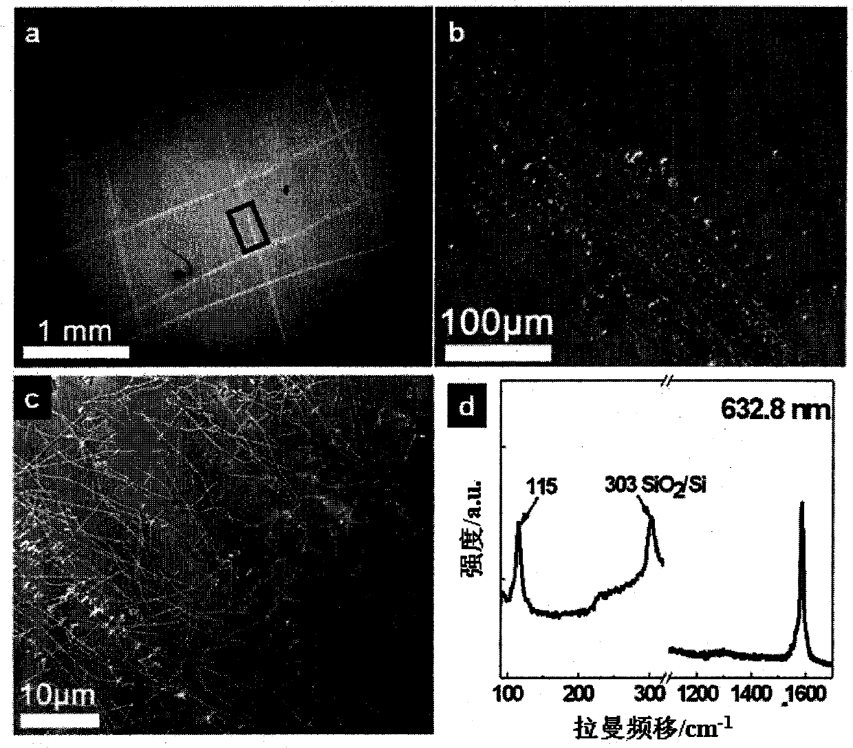 Patterning growth method of single-walled carbon nanotubes by surface ruling method