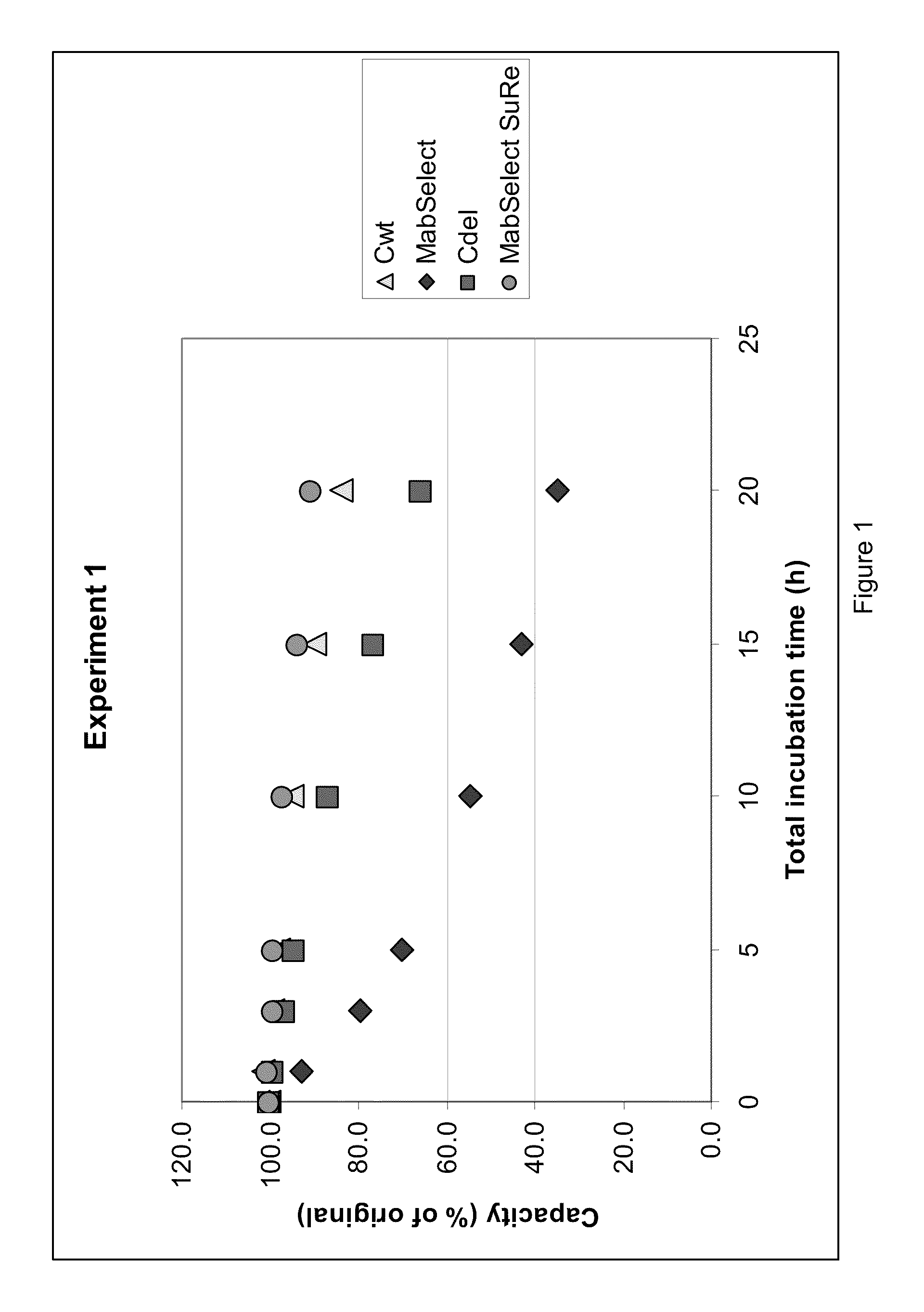 Chromatography ligand comprising domain c from staphylococcus aureus protein a for antibody isolation