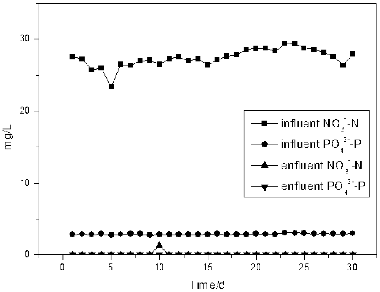 A kind of siderite/sulfur biofilter and its method for simultaneously removing nitrogen and phosphorus in water