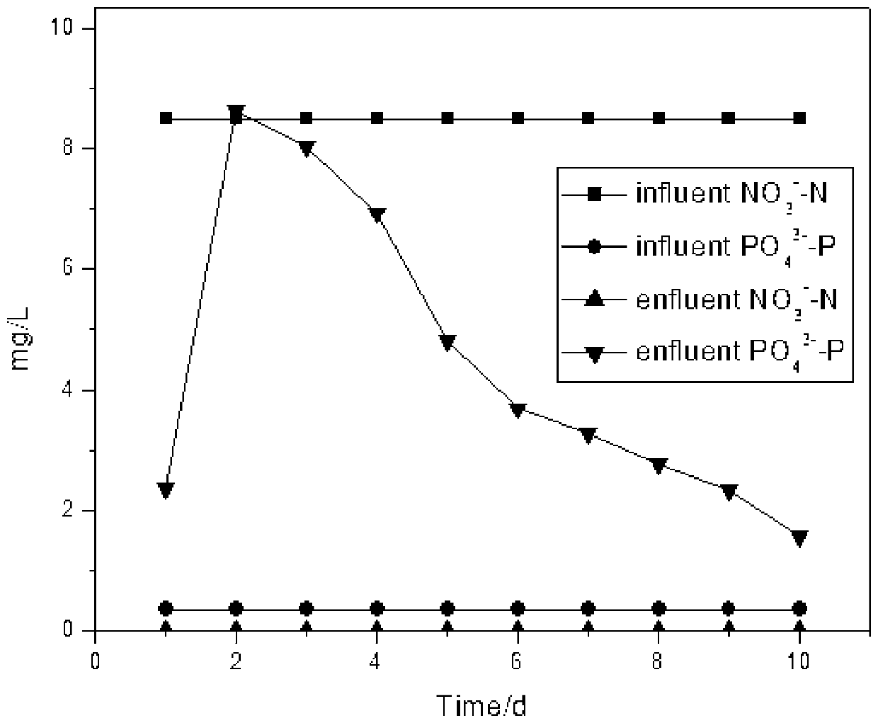 A kind of siderite/sulfur biofilter and its method for simultaneously removing nitrogen and phosphorus in water