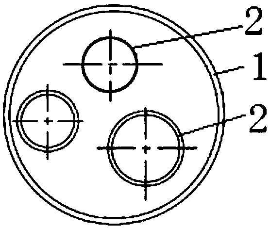 A tube bundle riser structure assembly