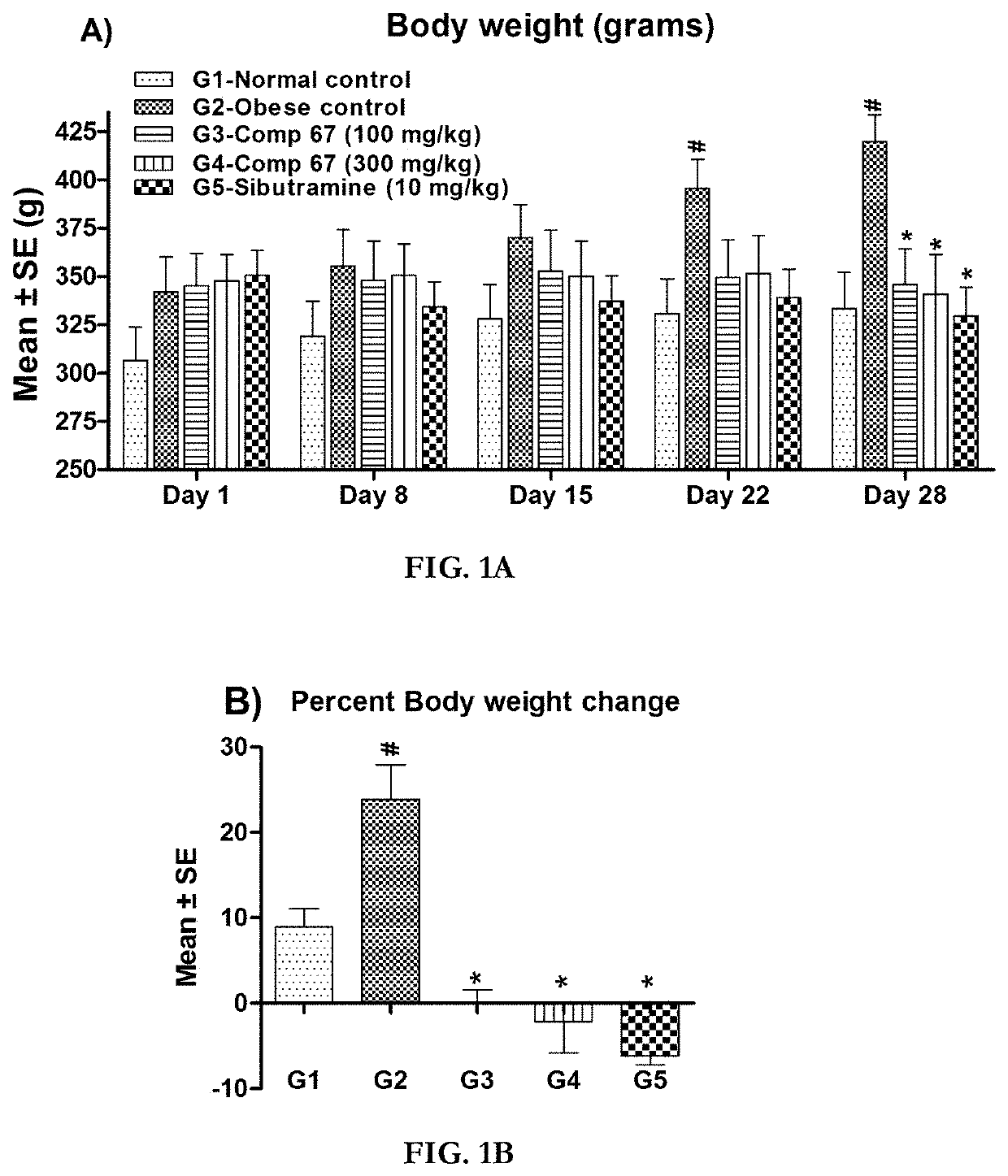 Synergistic herbal compositions for the treatment of obesity and overweight