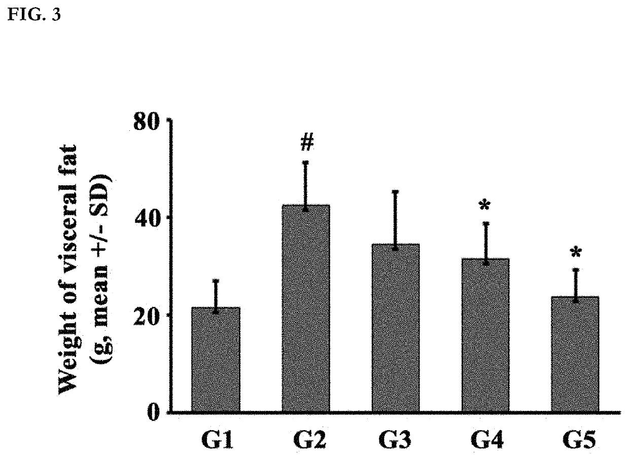 Synergistic herbal compositions for the treatment of obesity and overweight