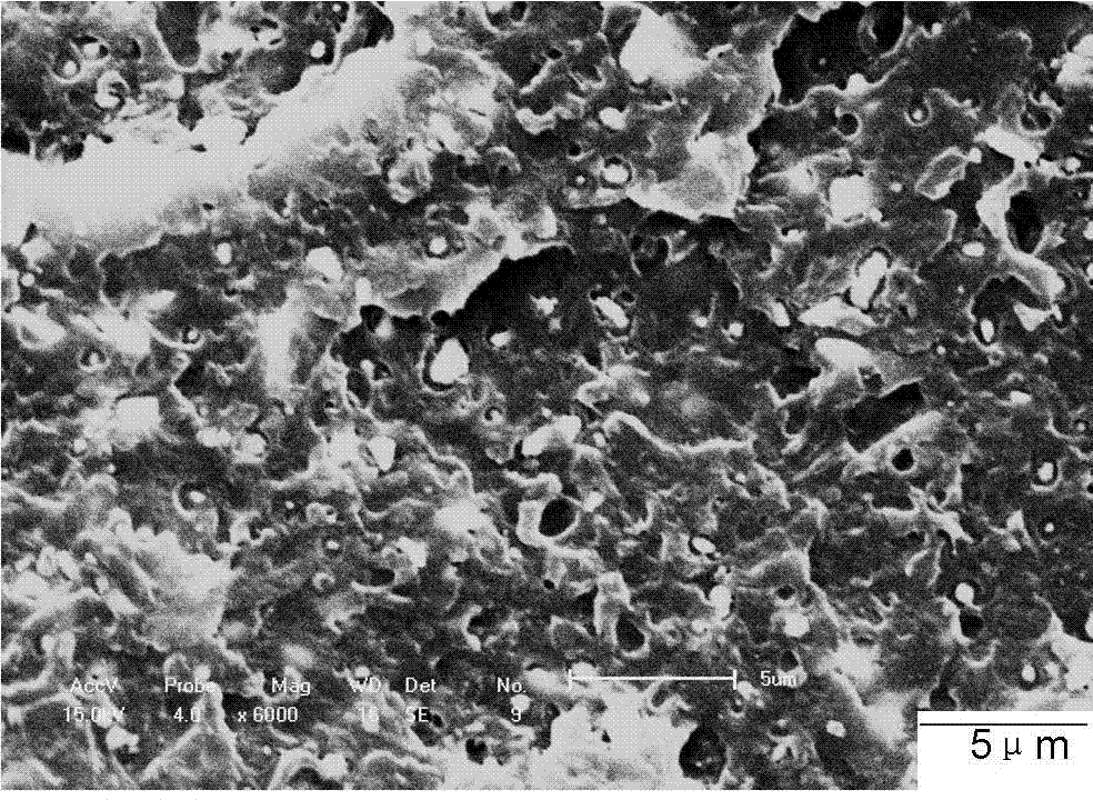 Polyether-ether-ketone composite material containing gadolinium oxide and preparation method of composite material