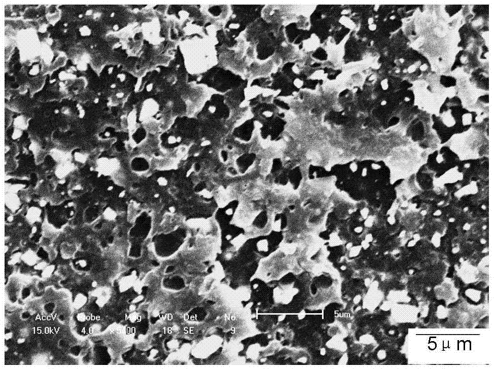 Polyether-ether-ketone composite material containing gadolinium oxide and preparation method of composite material