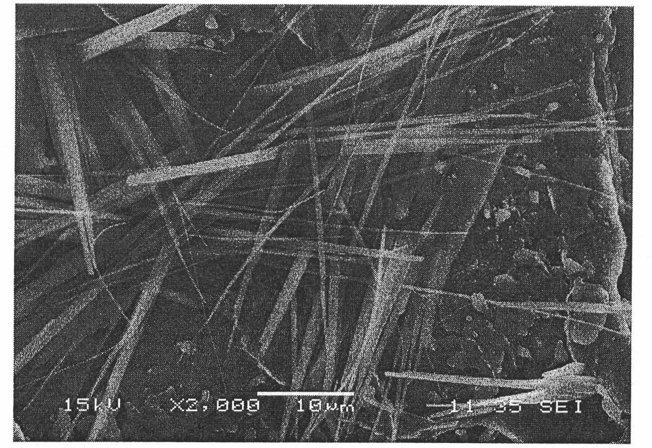 Aluminum hydroxide/magnesium-based hydrotalcite multiphase-based material and preparation method for crystal whiskers thereof