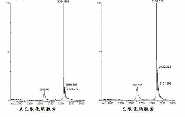 Method for preparing thymosin polypeptide by using interin