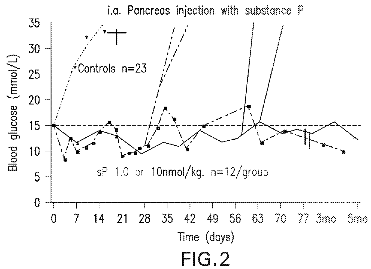 METHOD FOR REVERSING RECENT-ONSET TYPE 1 DIABETES (T1D) BY ADMINISTERING SUBSTANCE P (sP)