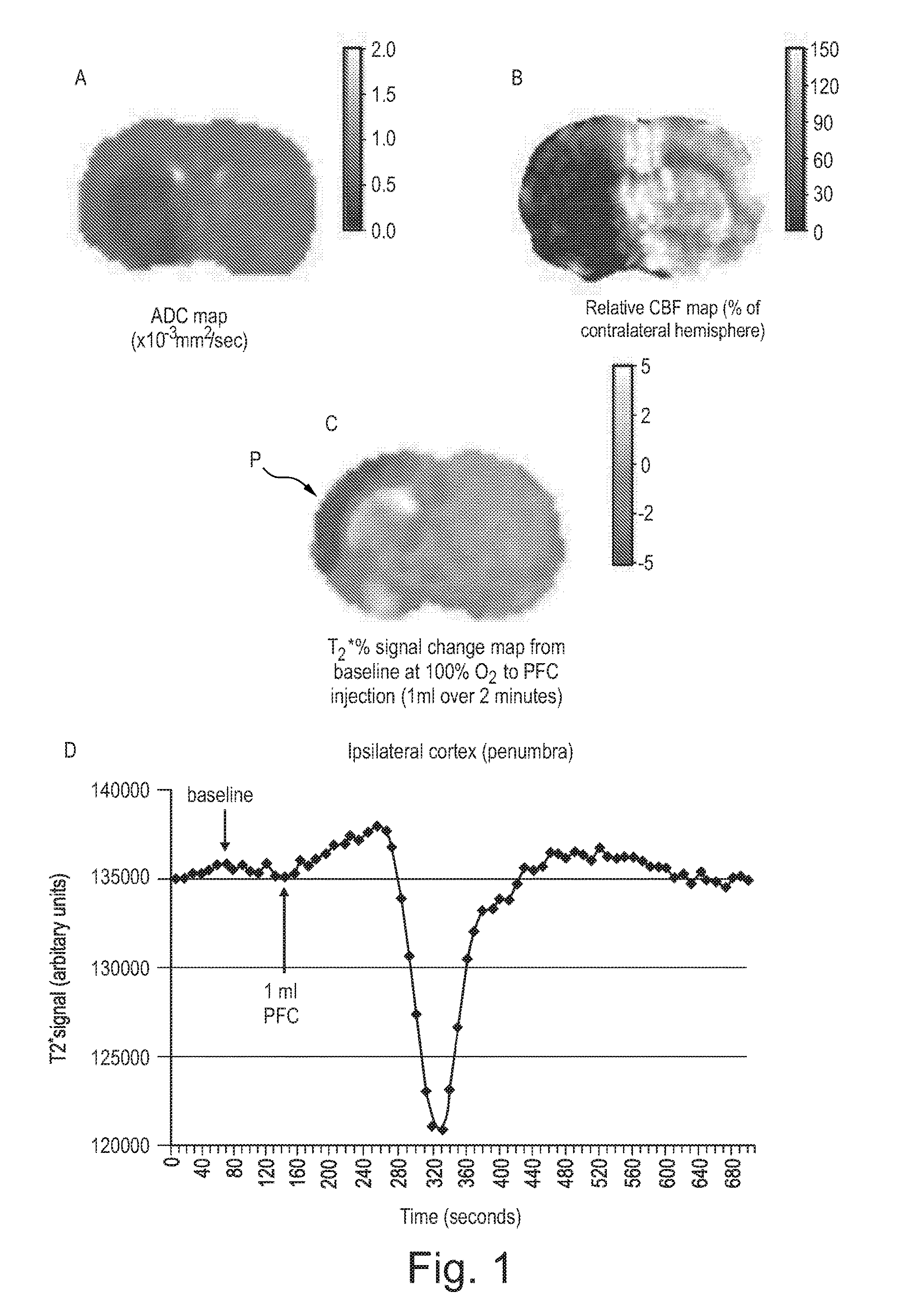 Improved Methods of Assessing Metabolic Function