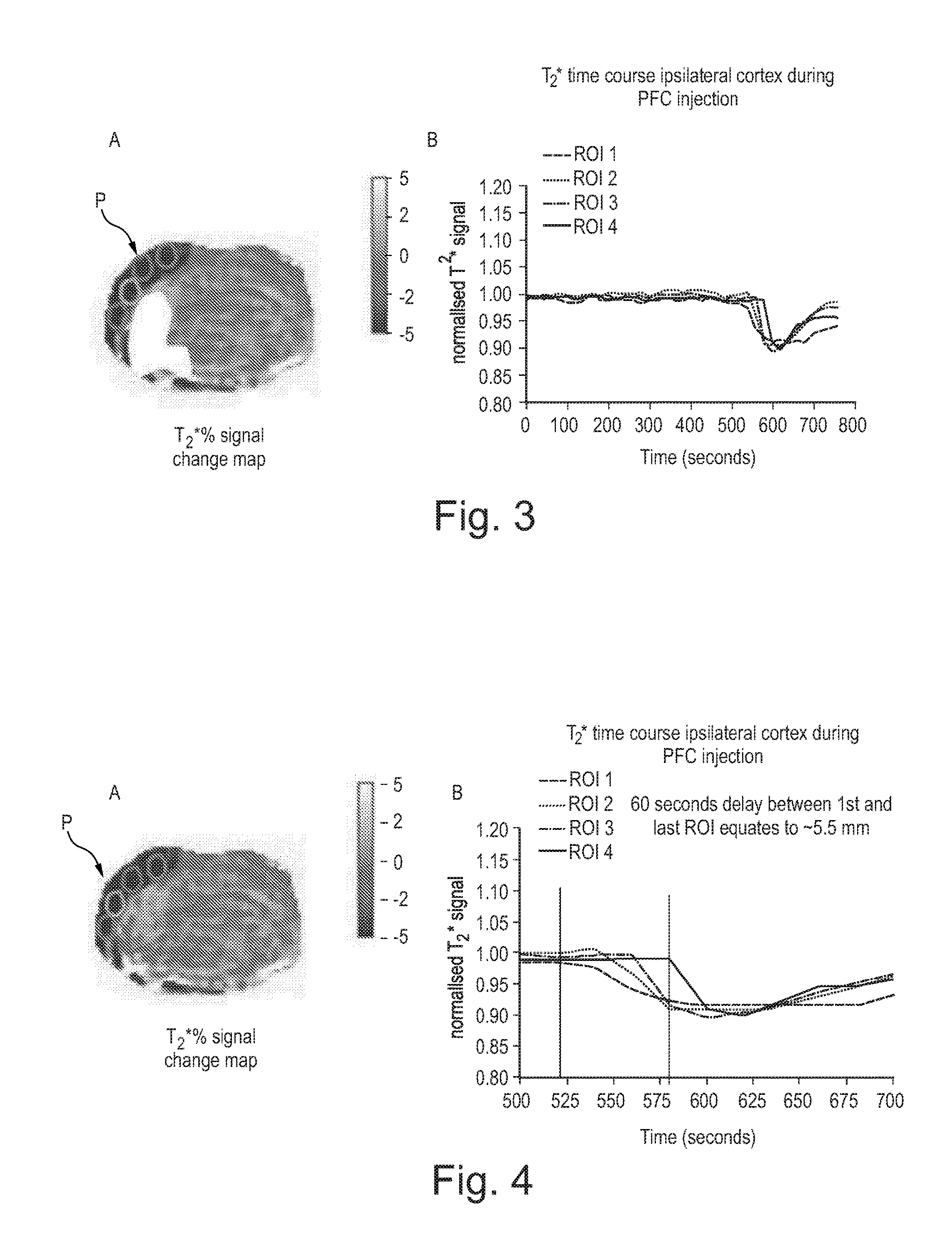 Improved Methods of Assessing Metabolic Function