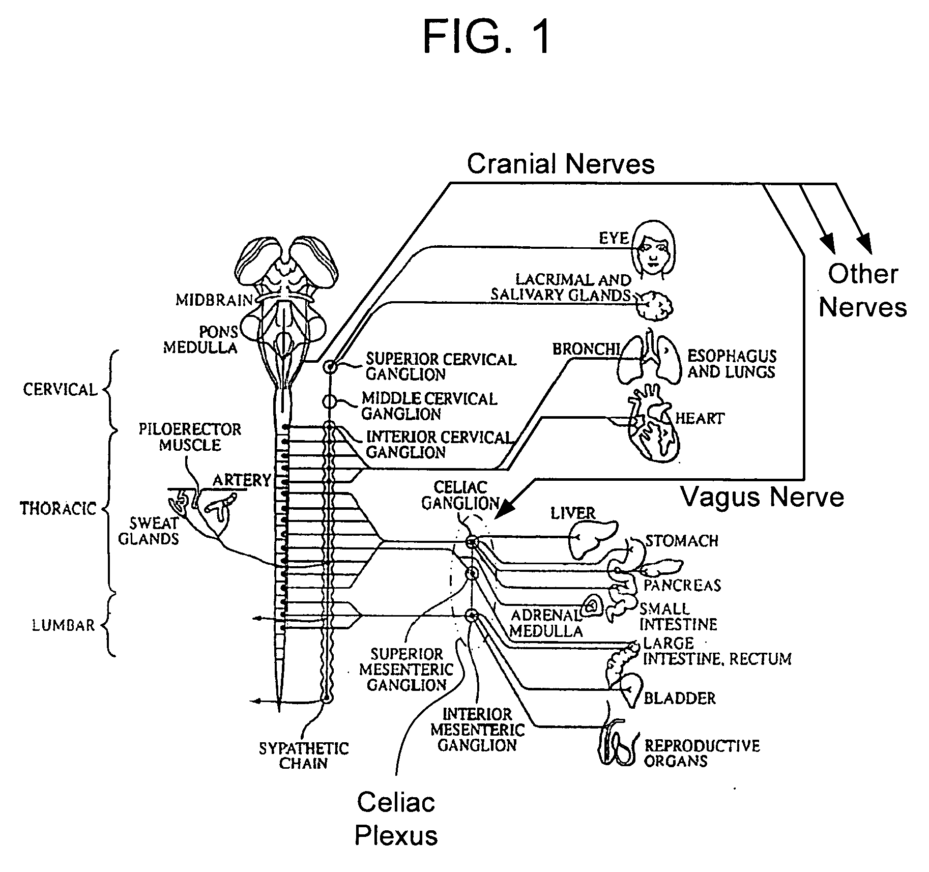 Methods And Apparatus For Treating Ileus Condition Using Electrical Signals