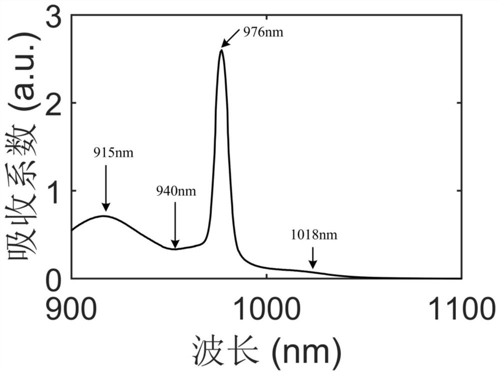 Ytterbium doped fiber laser using specific wavelength band pumping