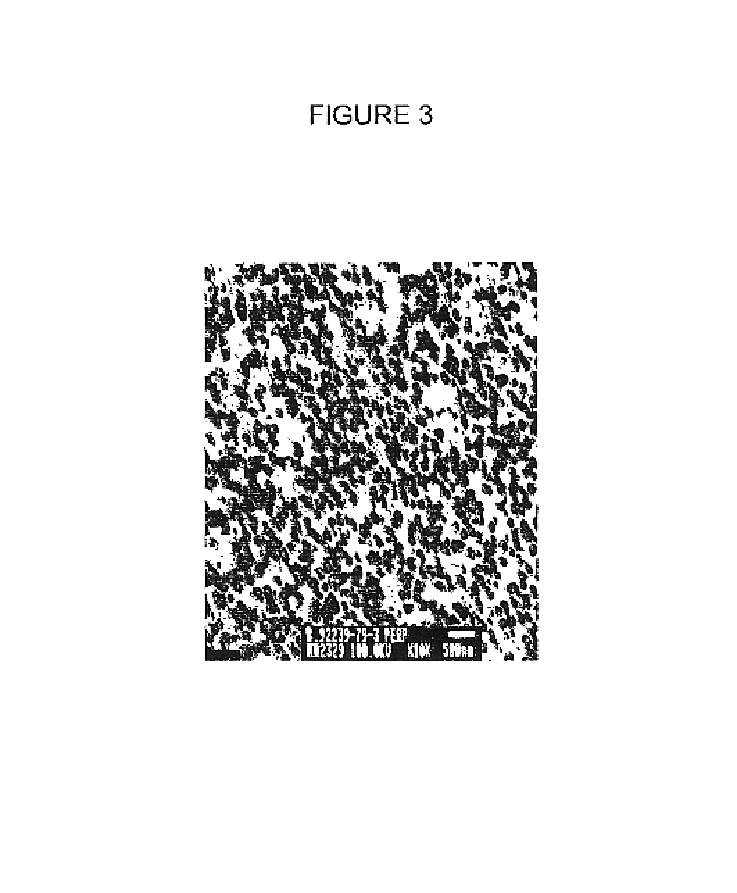 Graft copolymers of methylene lactones and process for emulsion polymerization of methylene lactones