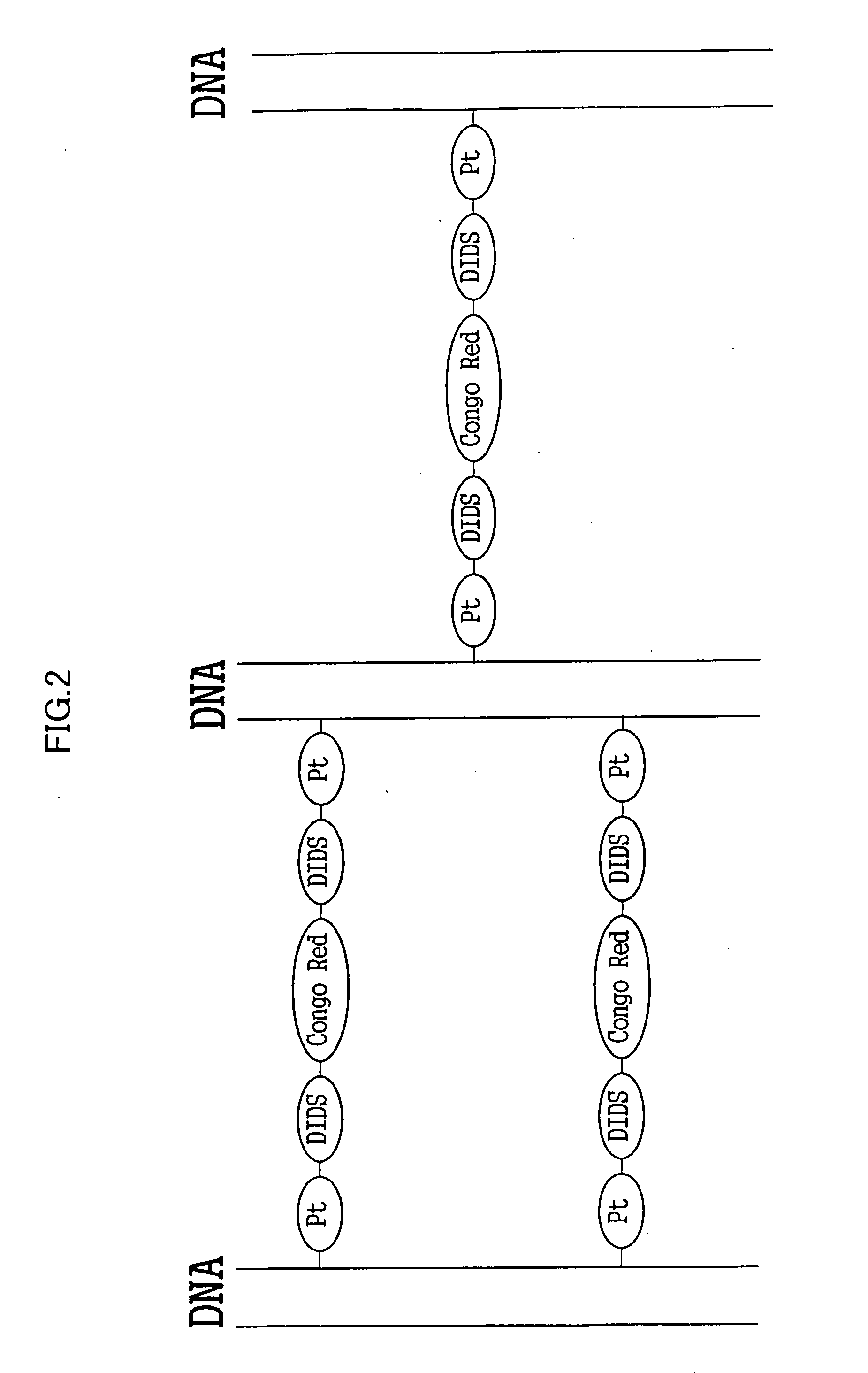 Organic conductor