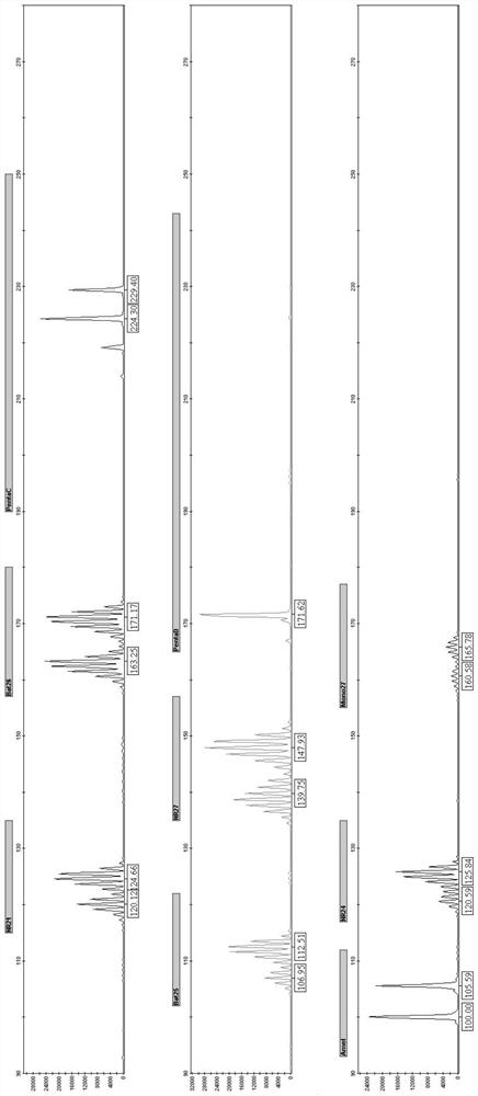 Digestion probe in PCR detection and kit thereof