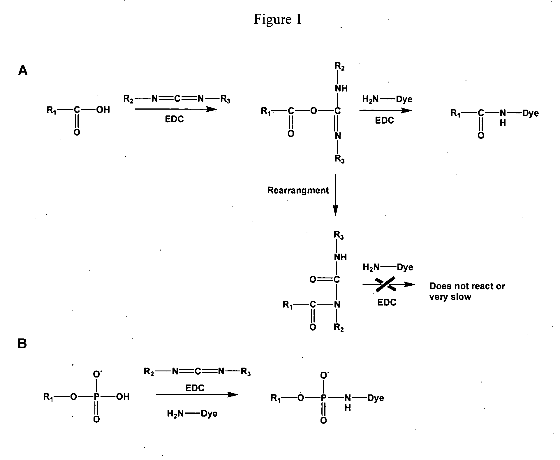 Compositions and methods for detecting phosphomonoester