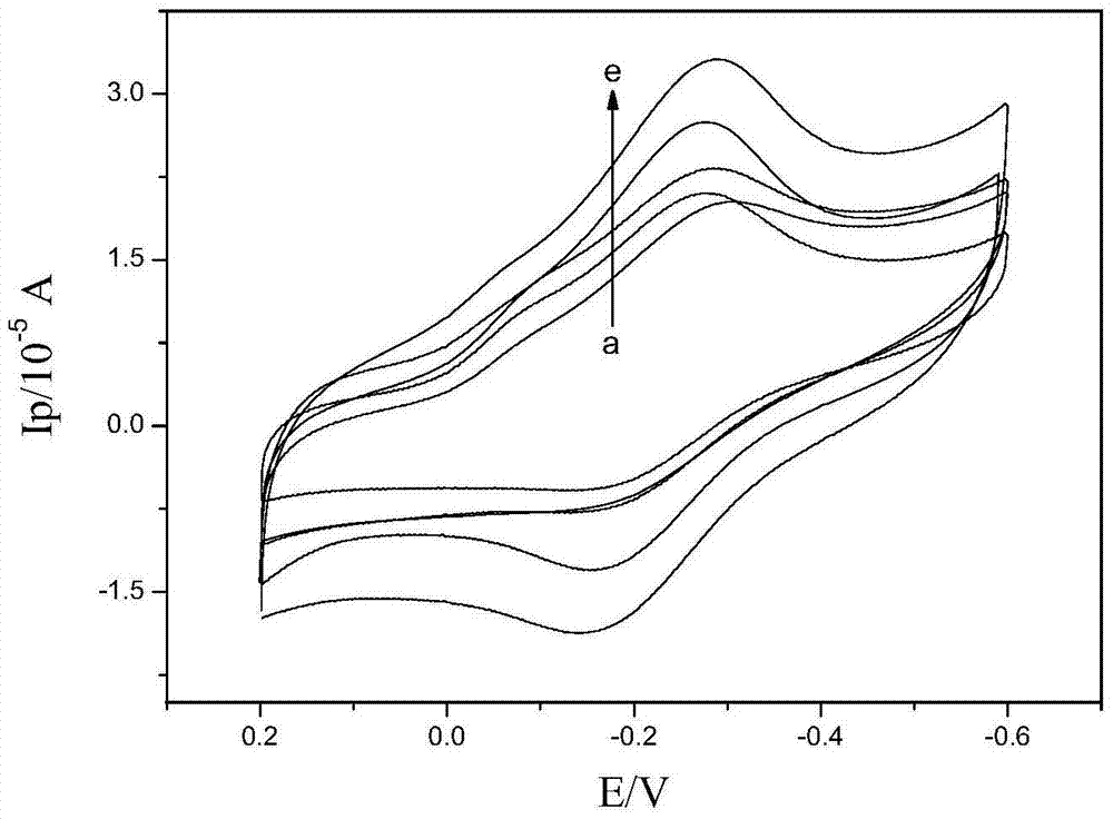 Graphene-exfoliated hydrotalcite flake composite immobilized protein modified electrode and its preparation method and application