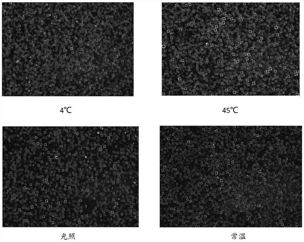 A kind of anti-oxidation and moisturizing liquid crystal composition and its preparation method and application