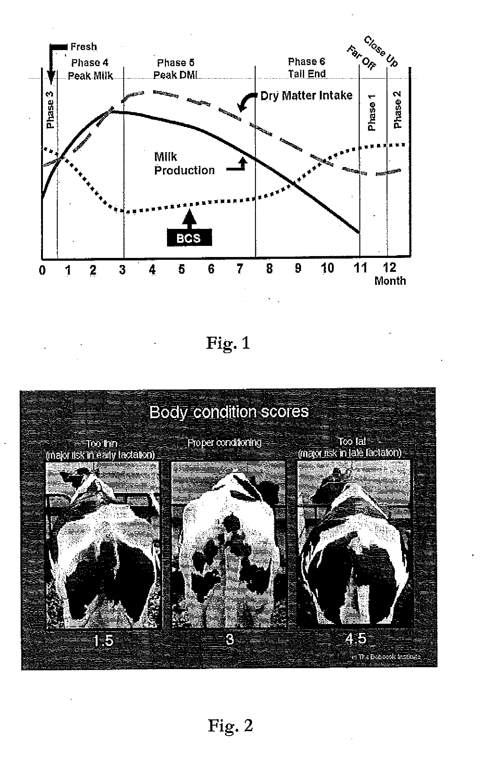 Arrangement and method for determining a body condition score of an animal