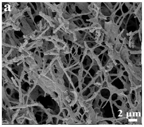 A kind of copper phthalocyanine/γ-bismuth molybdate composite nanofiber photocatalytic material and its preparation method and application