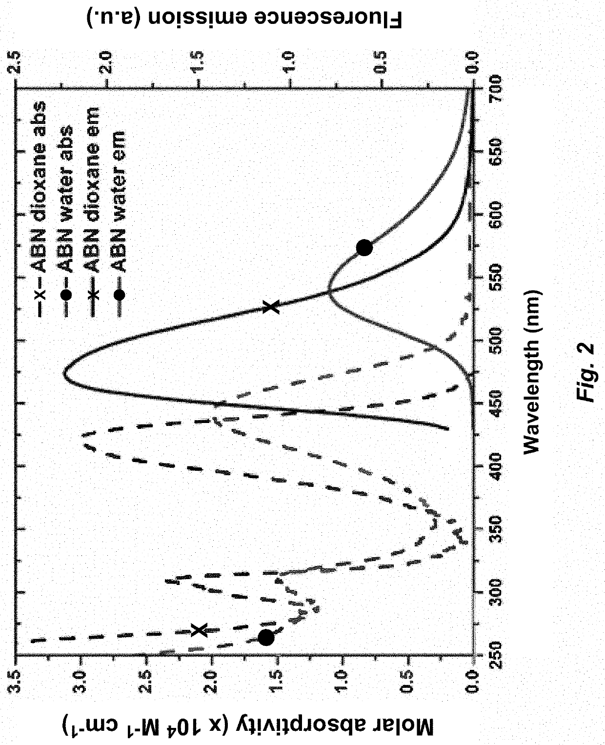 Pyrimidine nucleoside compounds for fluorescence imaging and spectroscopy