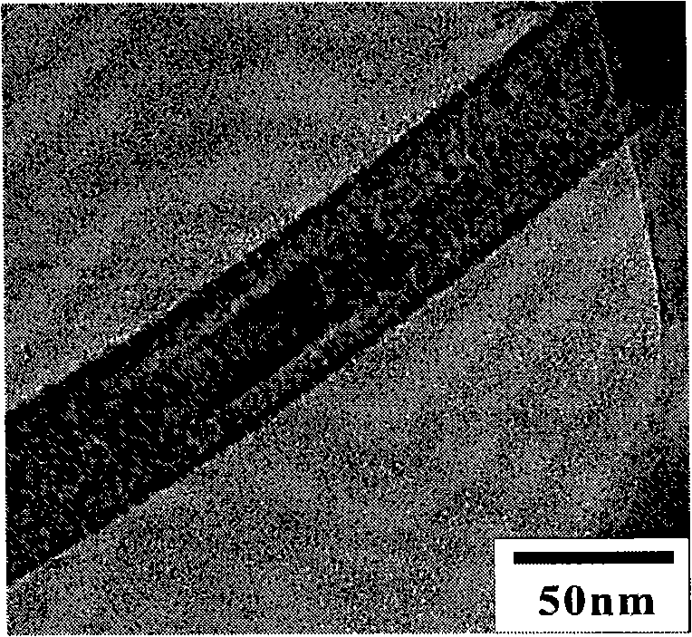 Nickel plating method for surface of silicon nanowires