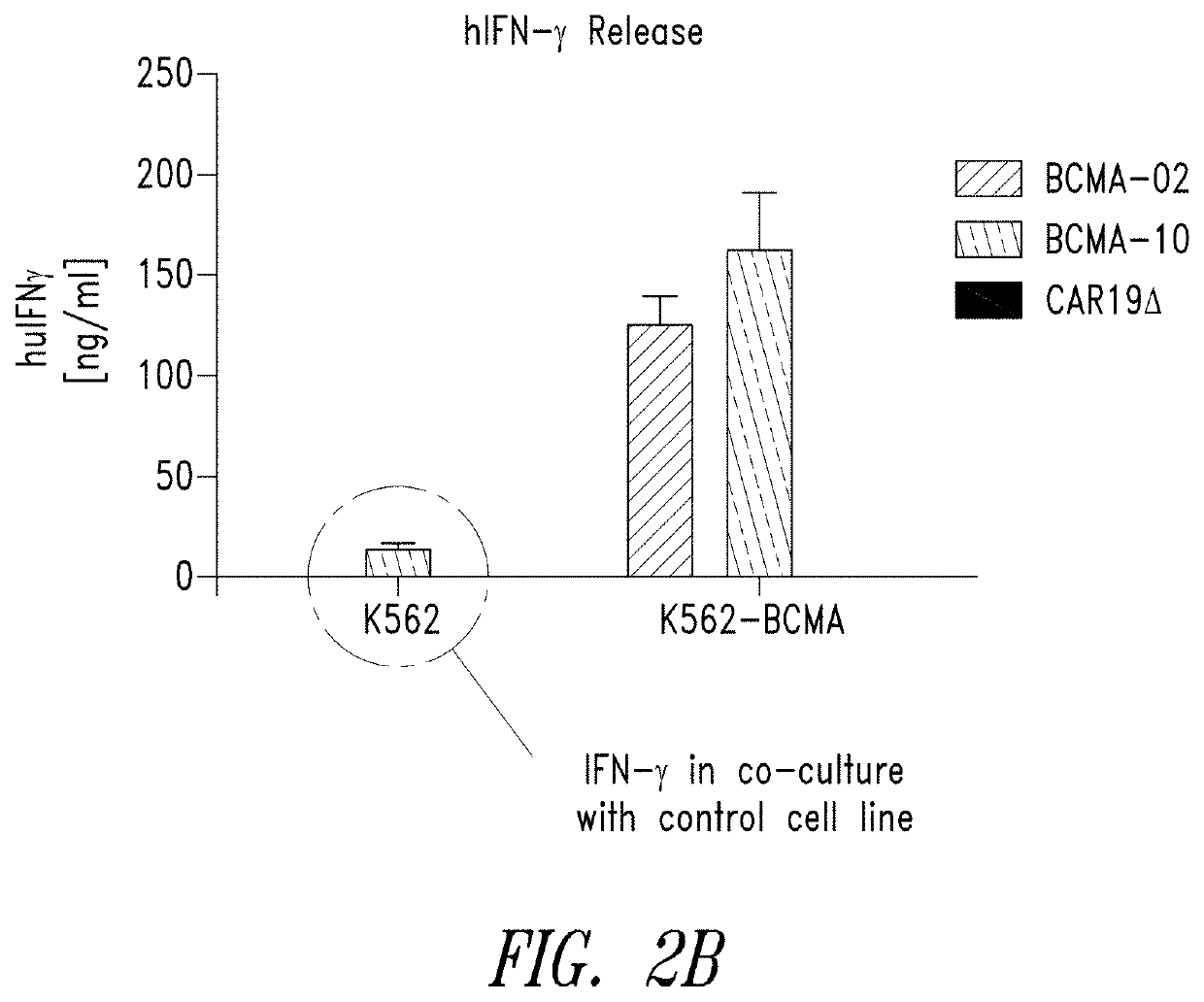 Bcma chimeric antigen receptors