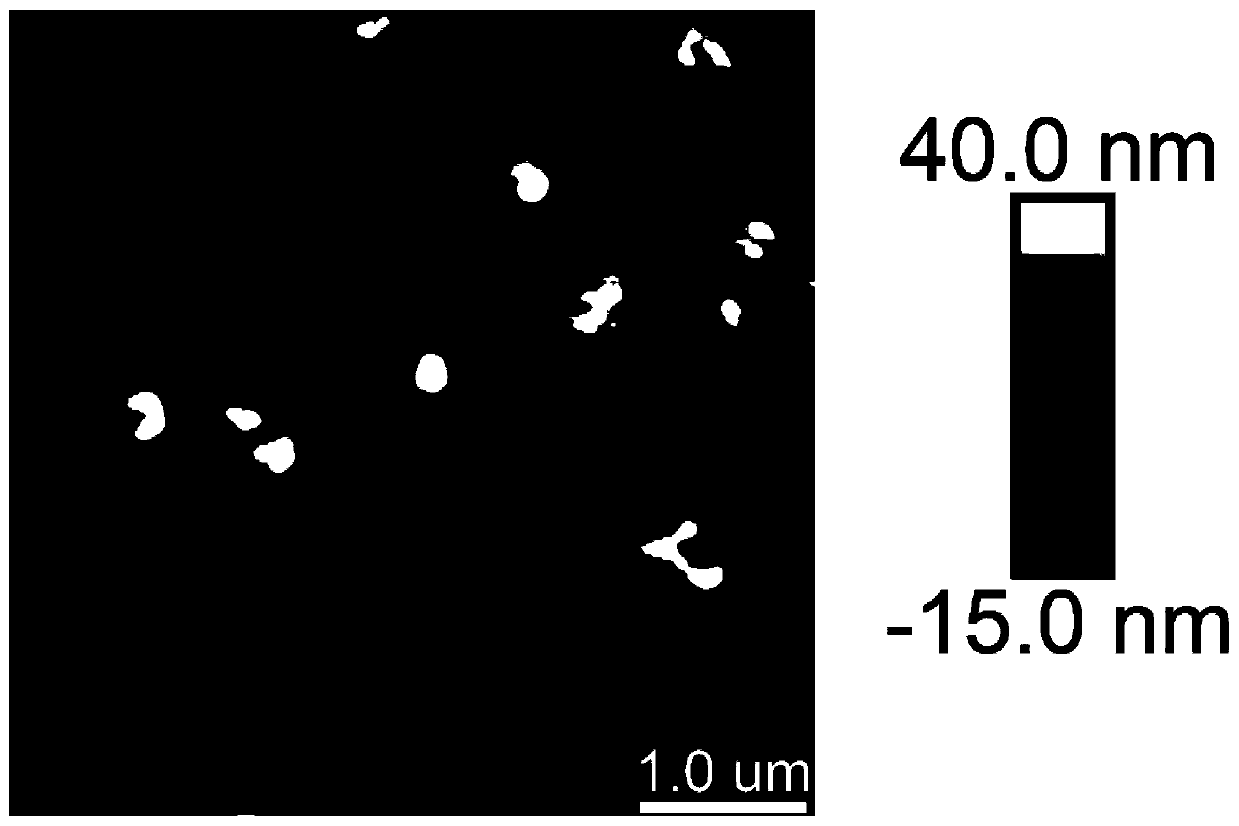 Disc-shaped liquid crystal column-based organic solar cell structure and preparation method thereof