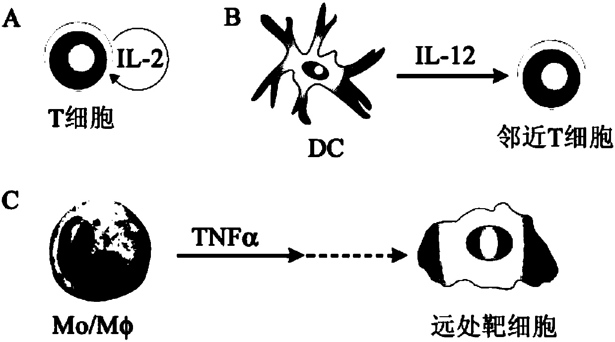 IL-1ra and olanzapine induced adverse metabolic reaction