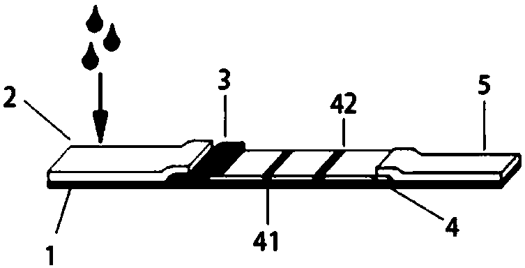 Test strip for detecting wide spectrum type salmonella in food and preparation and use method thereof