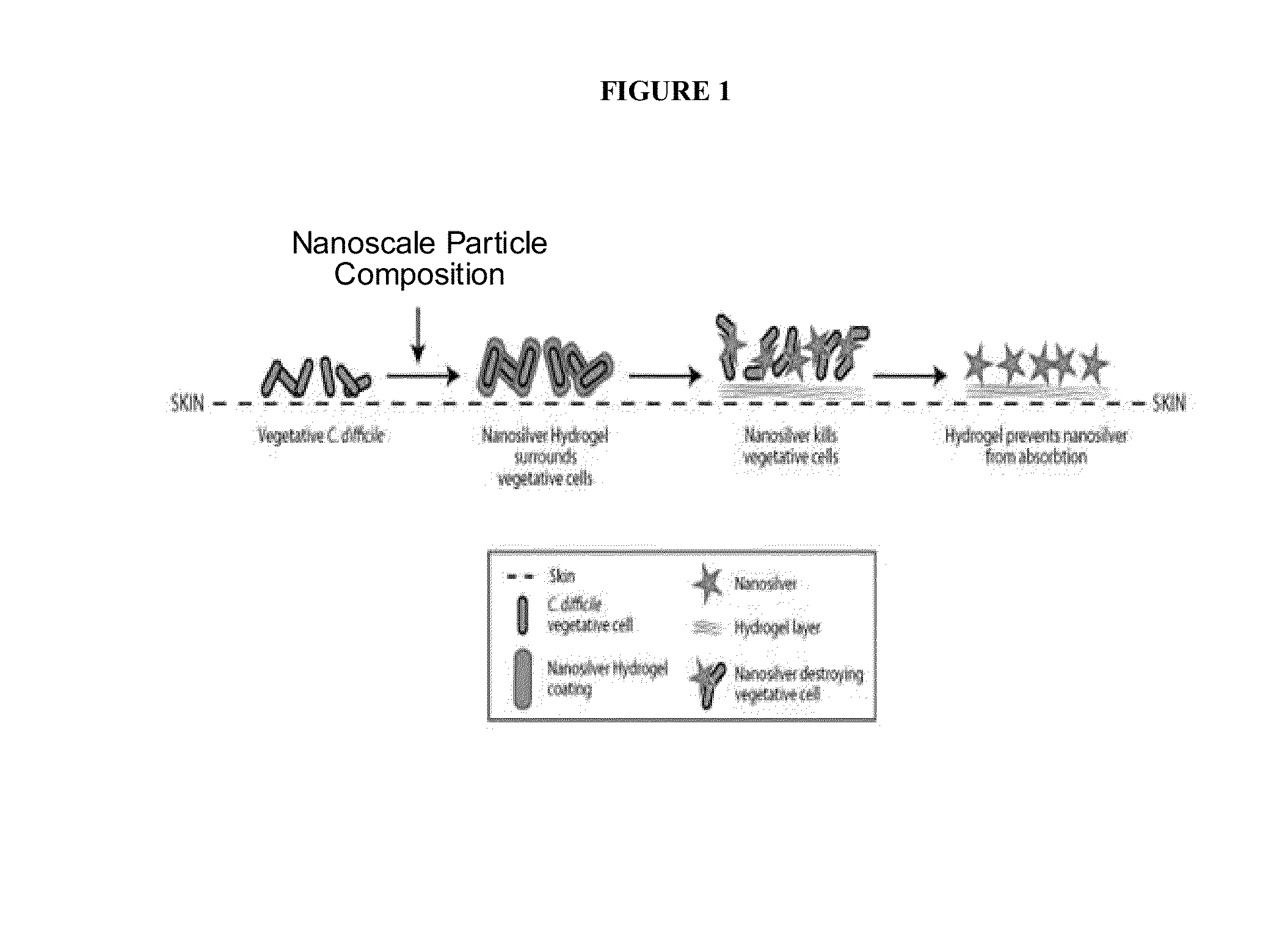 Endospore compositions and uses thereof