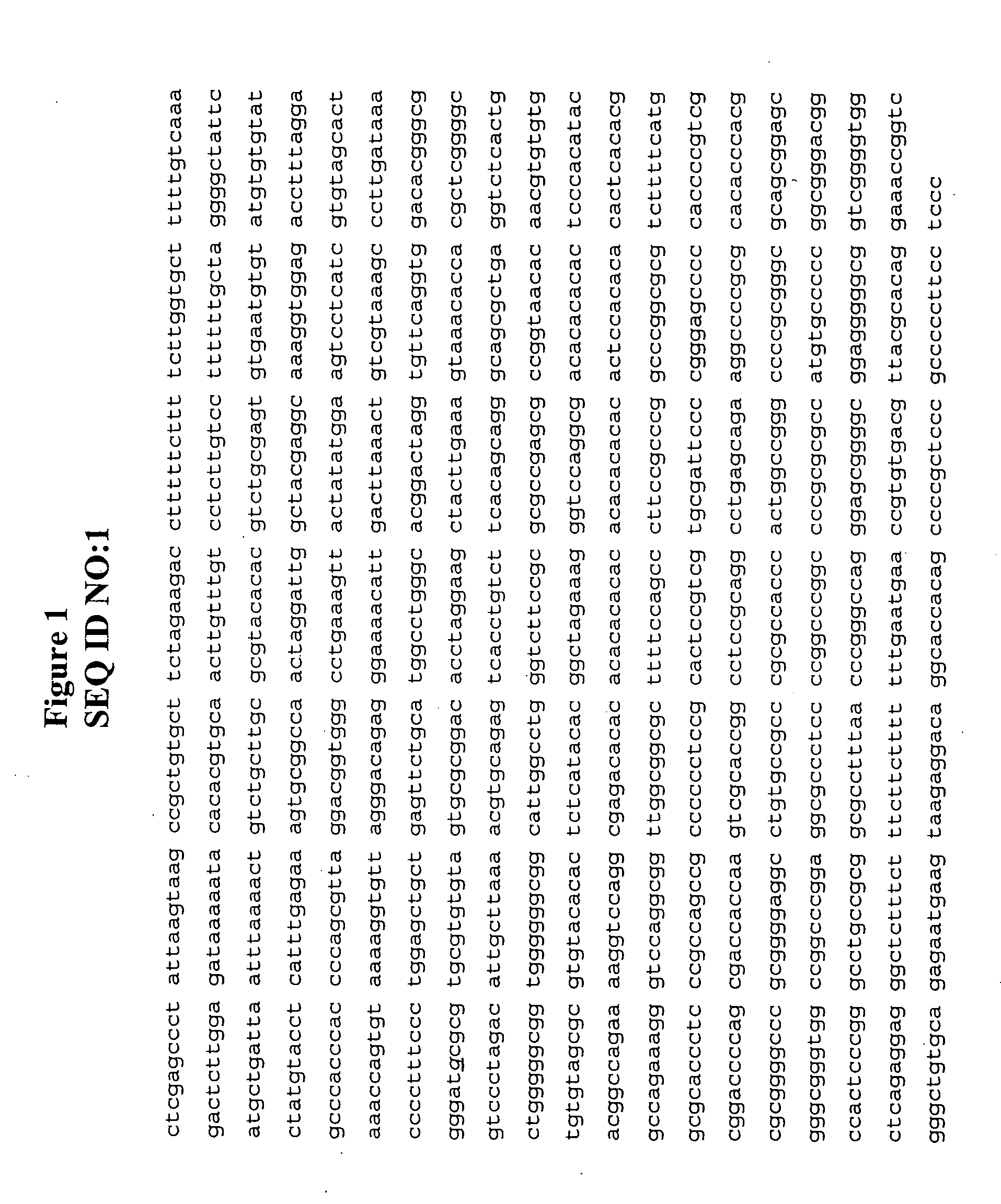 Methods and compositions for the inhibition of gene expression