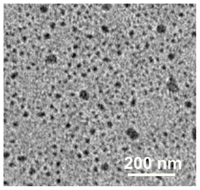 Preparation method of long-circulation multifunctional metal organic framework nano preparation