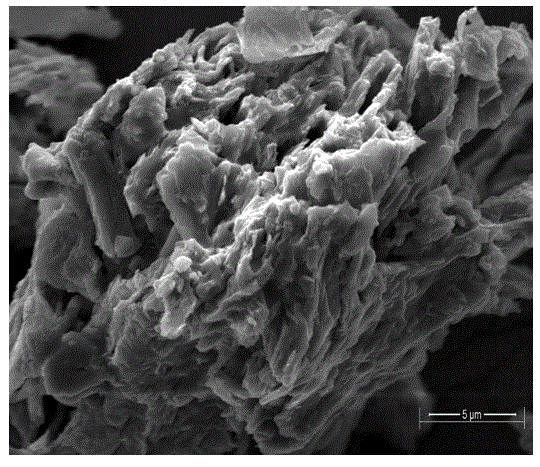 Method for preparation of bagasse-grafted methyl methacrylate copolymer by solid-phase method
