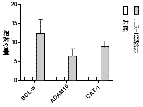 Micro ribonucleic acid 122 (miR-122) probe and preparation method thereof