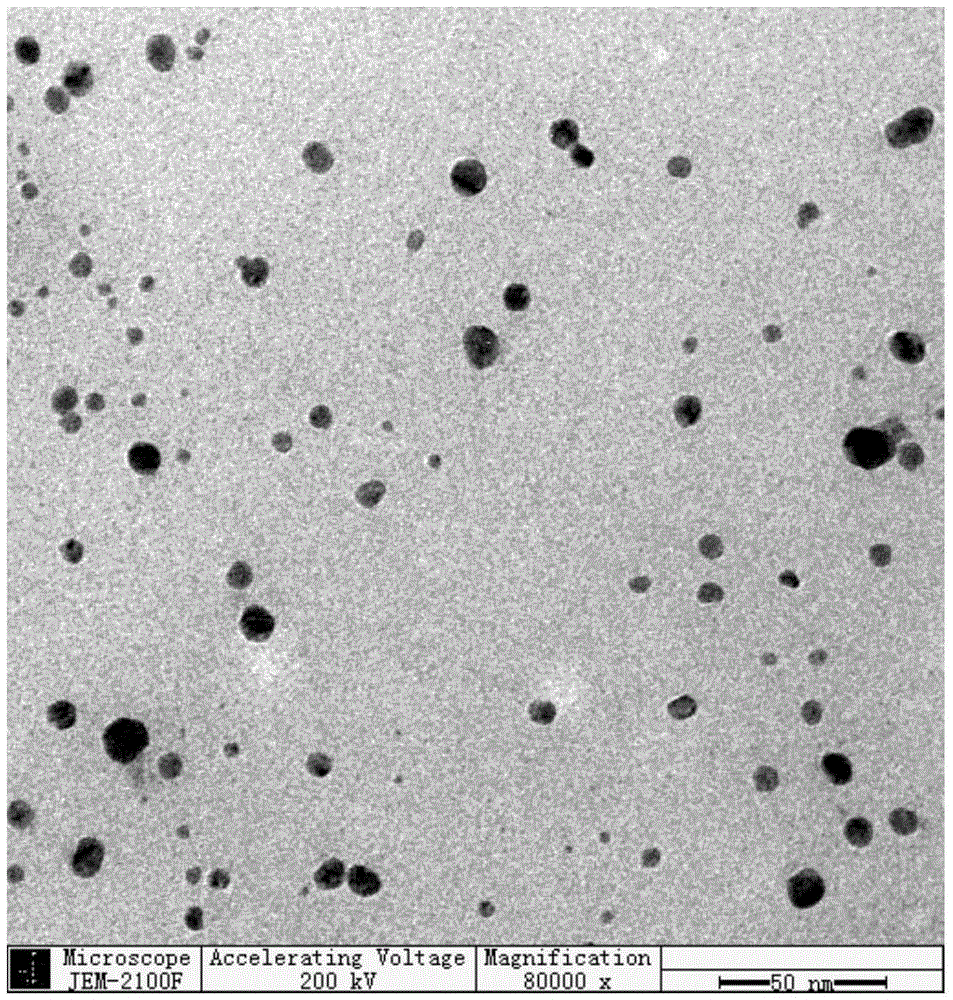Microcapsule nano silver bactericide preparation method