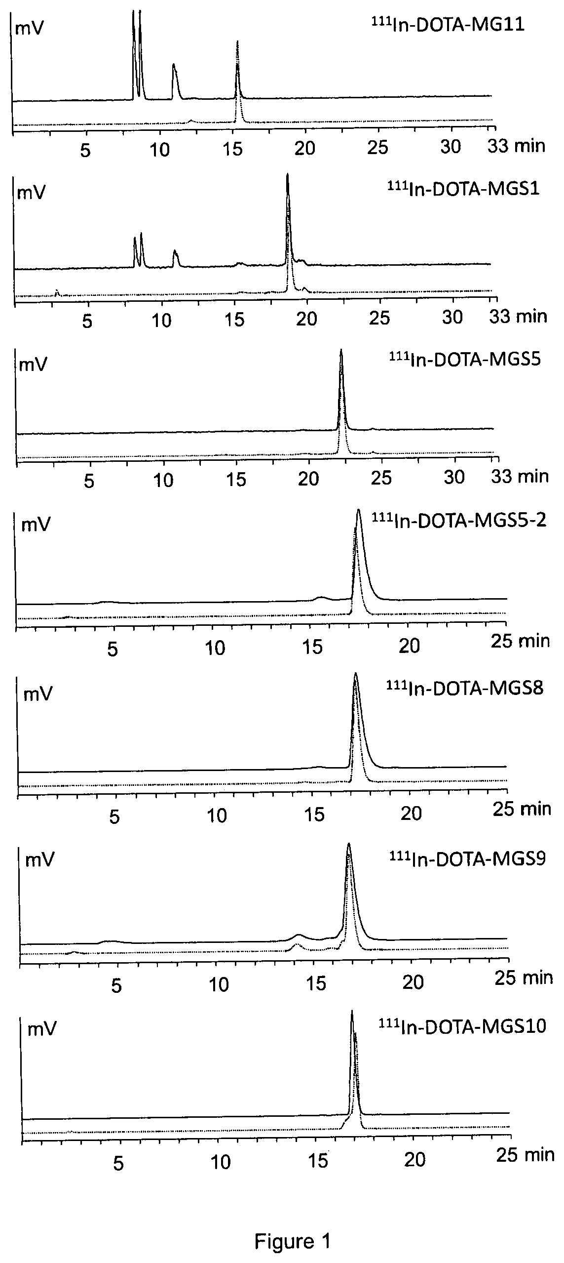 Improved pharmacokinetics and cholecystokinin-2 receptor (CCK2R) targeting for diagnosis and therapy