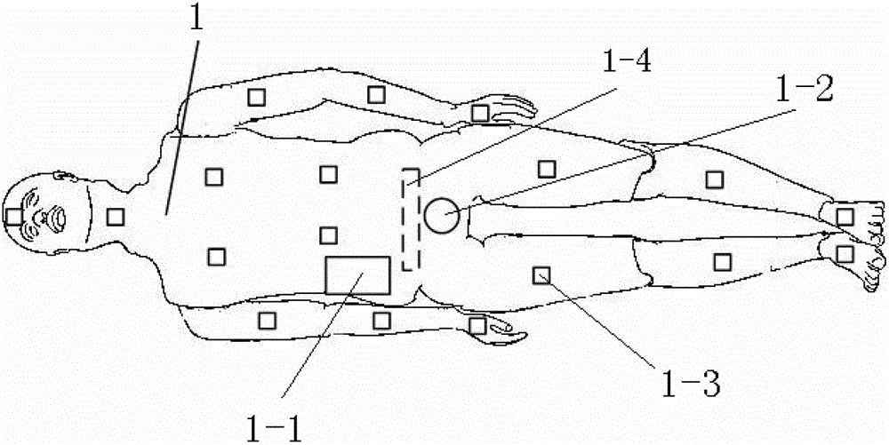 Simulation training system for carrying out batch wounded triage category and treatment process training