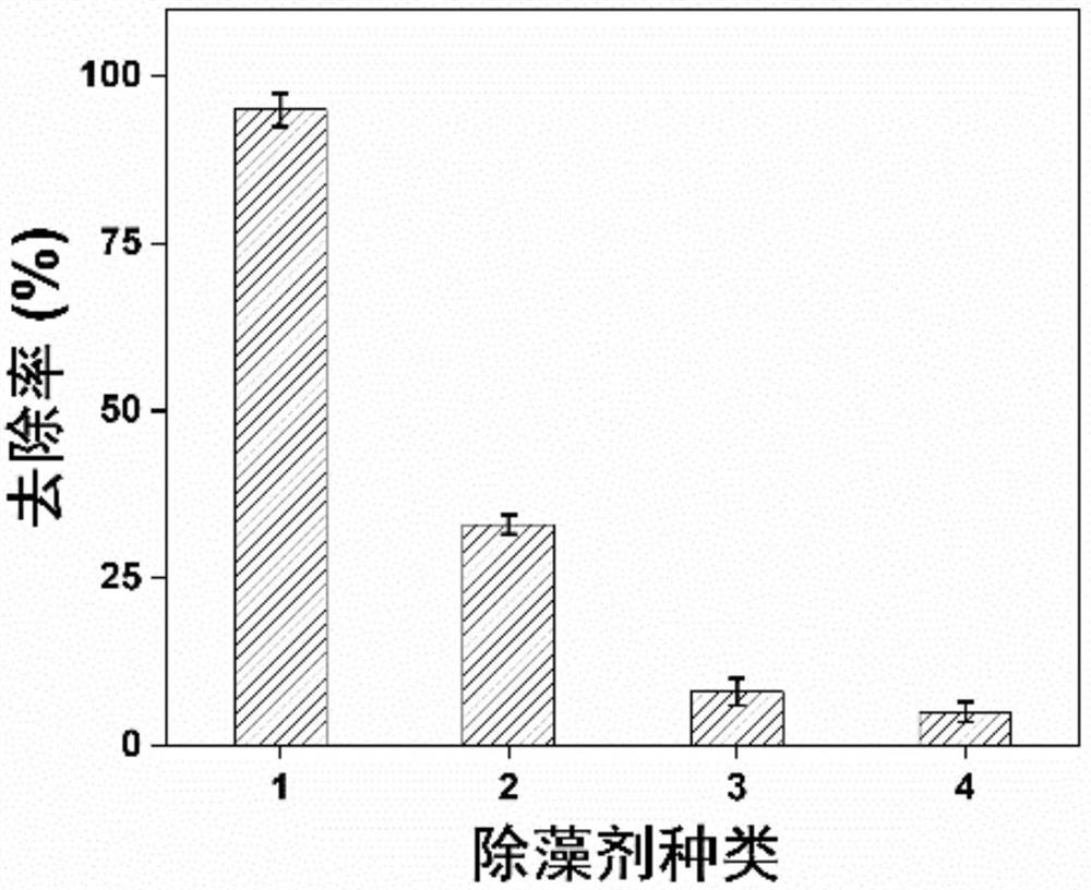 Red tide algae algicide based on ferroferric oxide activated persulfate and application of red tide algae algicide