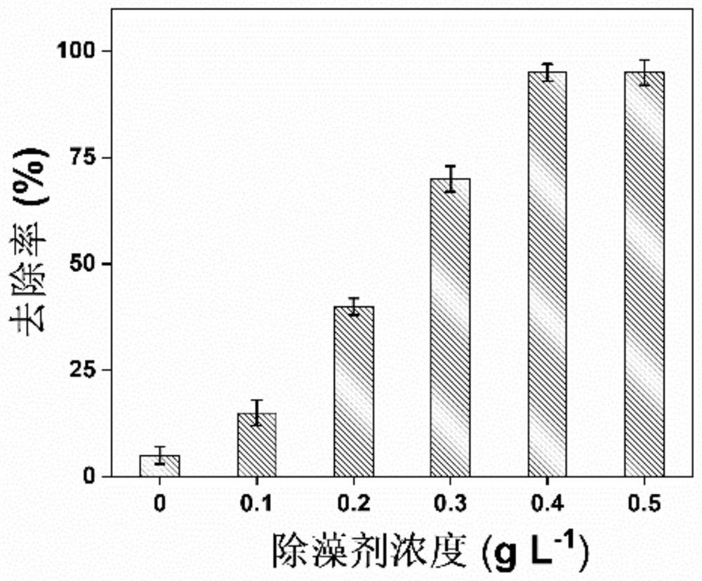 Red tide algae algicide based on ferroferric oxide activated persulfate and application of red tide algae algicide