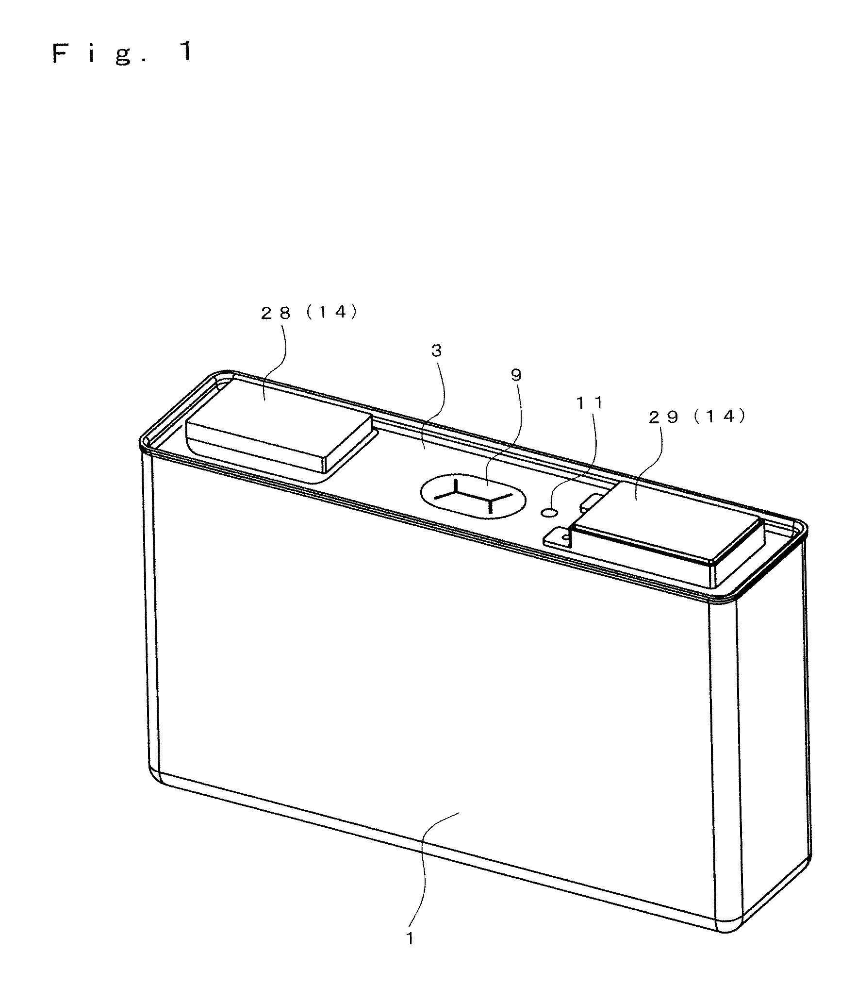 Electric storage element and production method thereof
